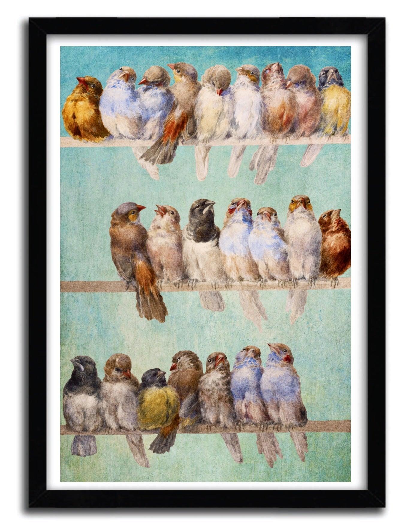 Affiche Birds Birds Birds by DIOGO VERISSIMO ArtAndToys