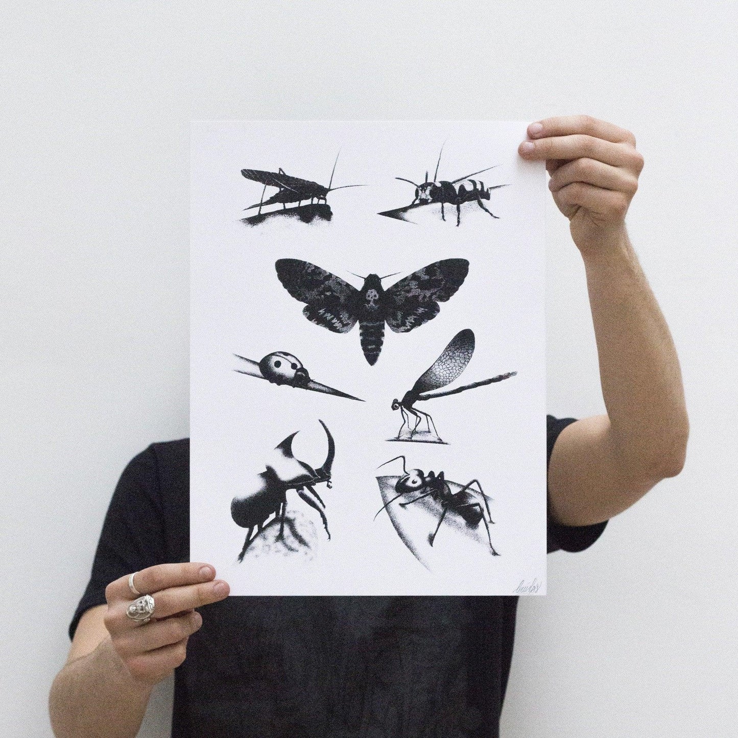 Affiche Insects Plate by LOUIS LPS ArtAndToys