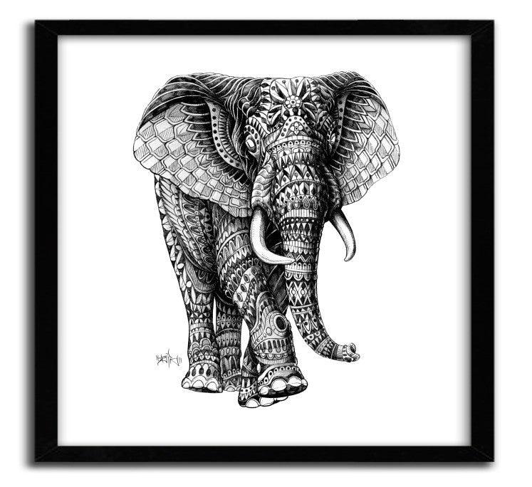 Affiche ORNATE ELEPHANT 2 BY BIOWORKZ ArtAndToys