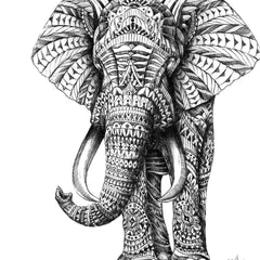 Affiche ORNATE ELEPHANT BY BIOWORKZ ArtAndToys
