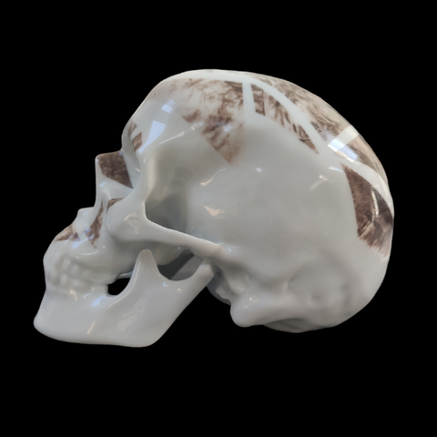 Skull Elephant by NooN / Porcelain Sculpture made in Limoges, France