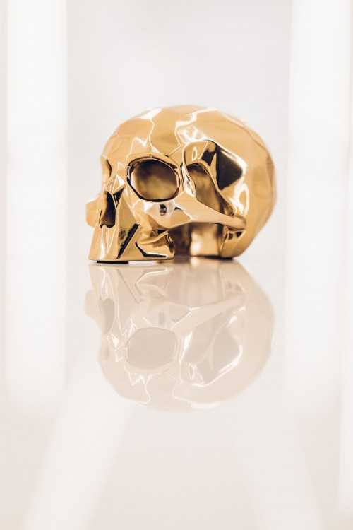 Sculpture SKULL SPIRIT Edition by Richard Orlinski