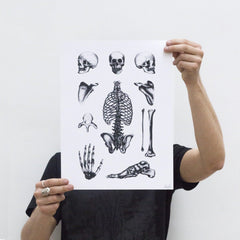 Affiche Bones Plate  by LOUIS LPS ArtAndToys