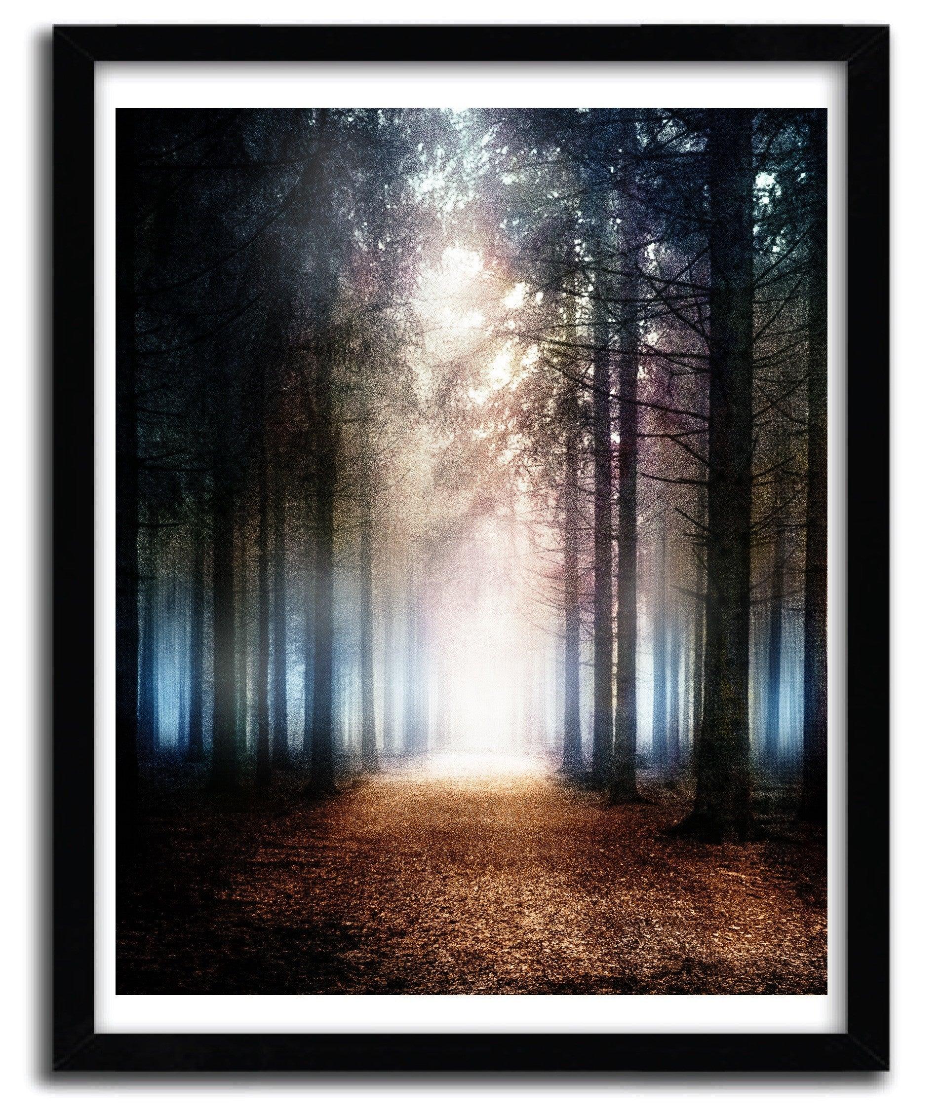 Affiche ENCHANTED FOREST by VIVIANA GONZALEZ ArtAndToys