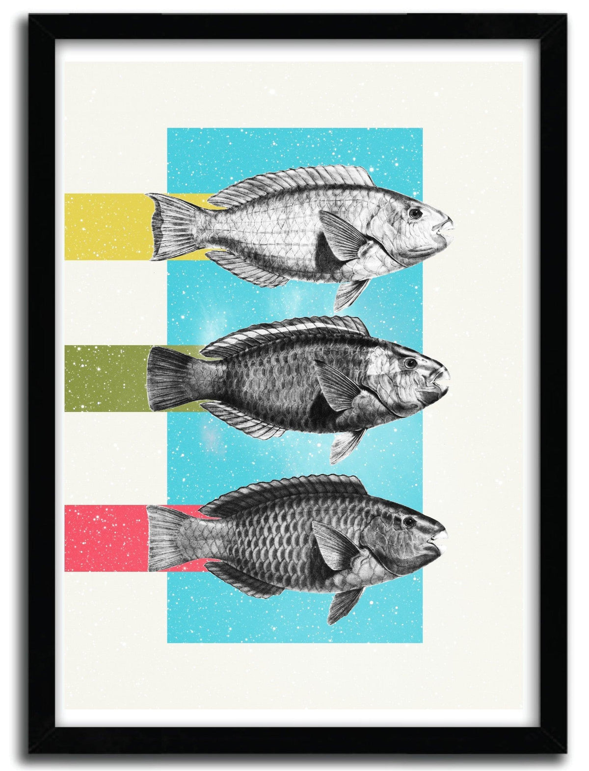 Affiche FISHES by DANNY IVAN ArtAndToys