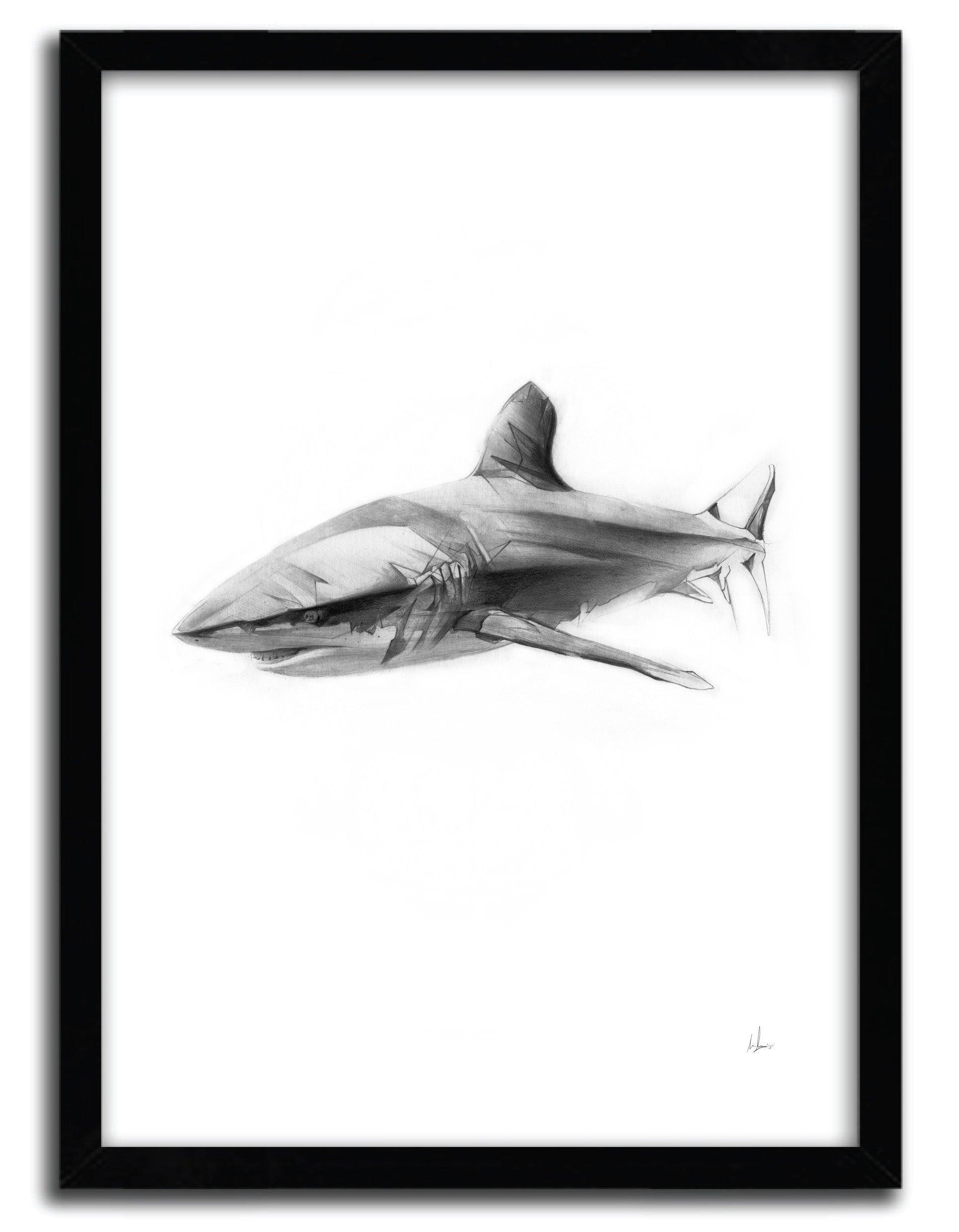 Affiche SHARK I par ALEXIS MARCOU ArtAndToys
