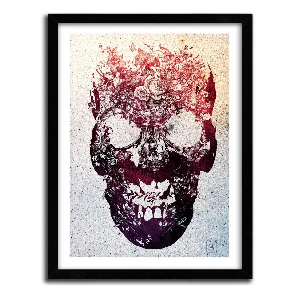 Affiche floral skull by Ali Gulec ArtAndToys