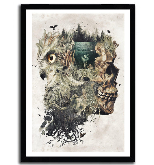 Affiche forest lake dream par Barrett Biggers ArtAndToys