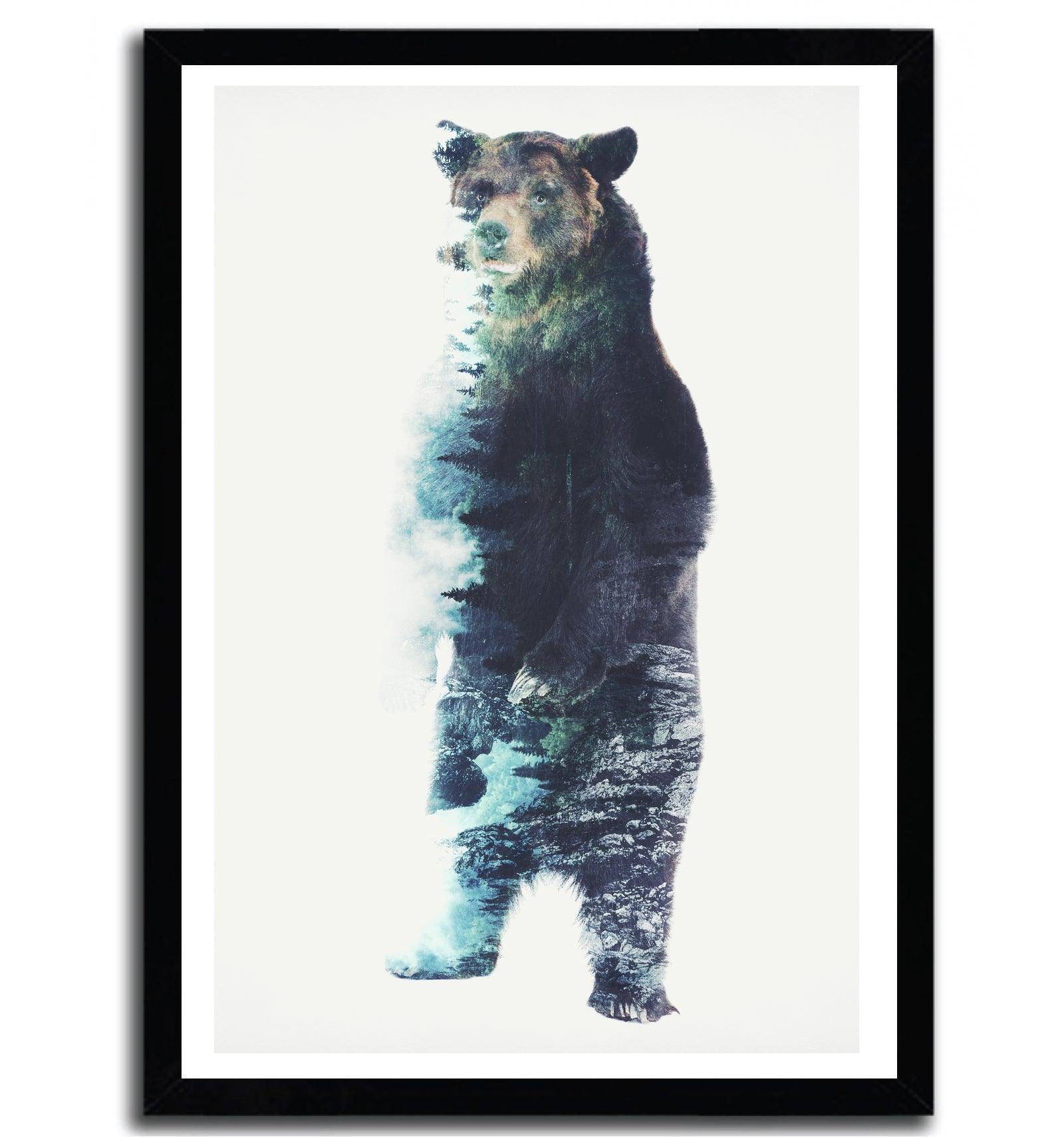 Affiche mist bear par Barrett Biggers ArtAndToys