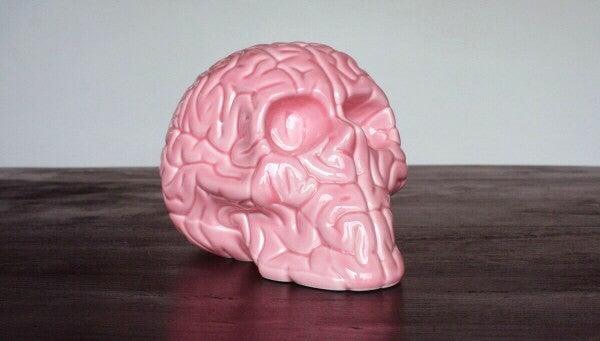 Skull Brain 'PINK' by Emilio Garcia ArtAndToys